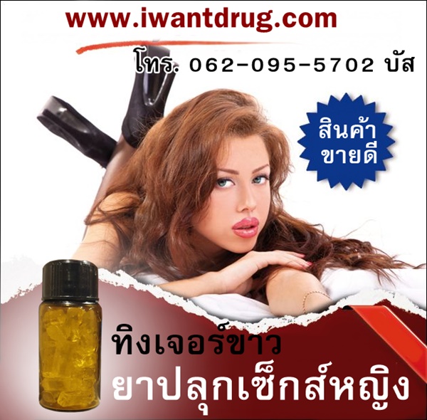 ขายทิงเจอร์ขาวเก็บเงินปลายทาง