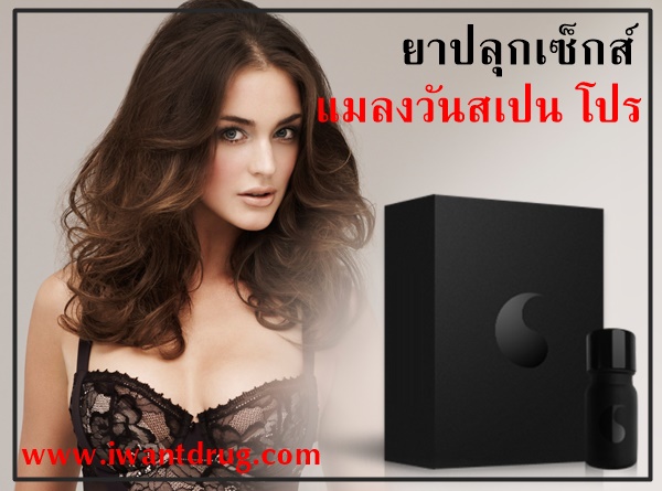 ยาปลุกเซ็กส์แมลงวันสเปนโปร