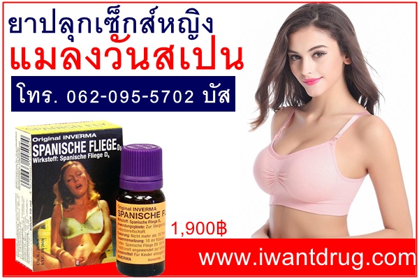 ขายยาปลุกเซ็กส์หญิงแมลงวันสเปน